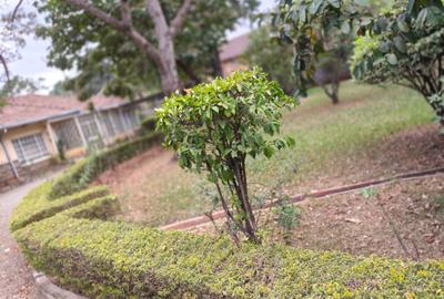 Residential Land at Parklands - 3