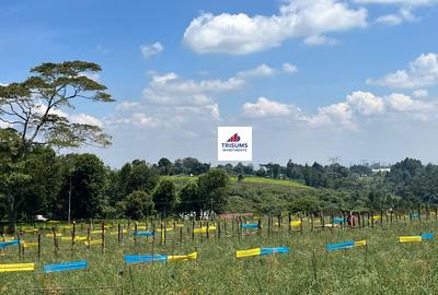 16.5 ac Land in Tigoni - 3