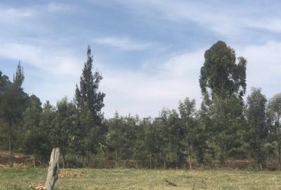 Land in Ngong - 4