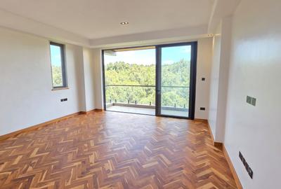 4 Bed Apartment with En Suite in Spring Valley - 4