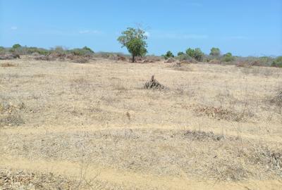 1 ac Land at Msumarini - 3