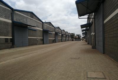 12,000 ft² Warehouse with Backup Generator in Ruiru