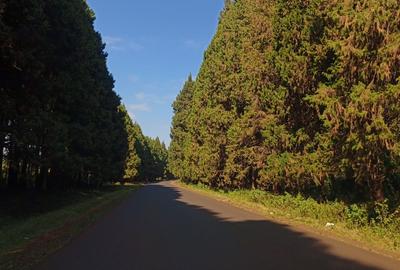 500 m² Residential Land at Kikuyu