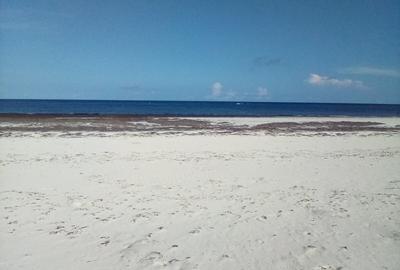 Land at Bofa Beach - 3