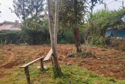 0.6 ac Residential Land at Kanyagia Drive - 3