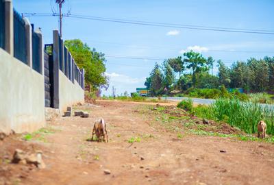 0.2296 ac Commercial Land at Bat-Delmonte Bypass