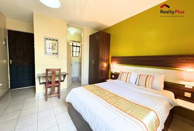 Furnished Bedsitter at Maai Mahiu Road - 4