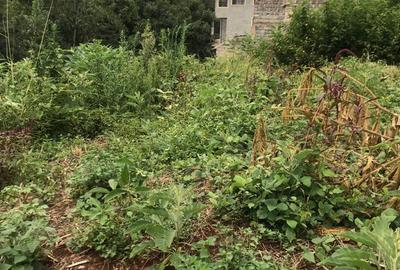Residential Land in Kiambu Road