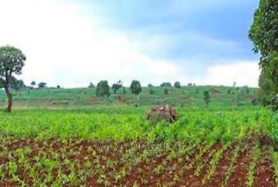 100 ac Land at Gatanga Muranga