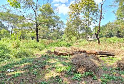 Residential Land at Spring Valley Lower Kabete - 4