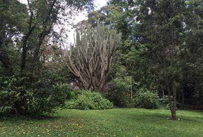 3 Bed Townhouse with En Suite at Close To Un - 3