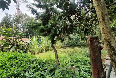 4 Bed House with En Suite in Karen - 4