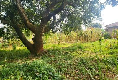 Land in Lower Kabete - 4