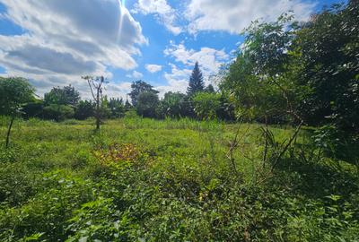 Residential Land at Muthaiga North