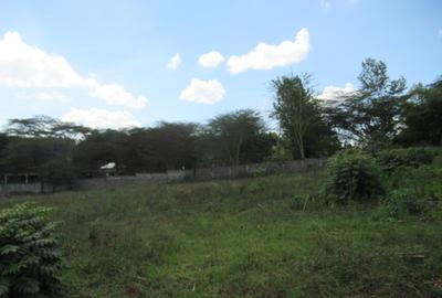 Residential Land at Ololua Ridge - 4