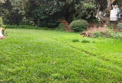 Land in Kilimani - 3