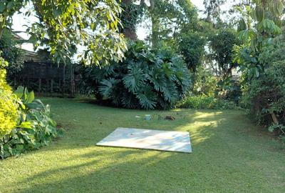 5 Bed House with En Suite in Gigiri - 3