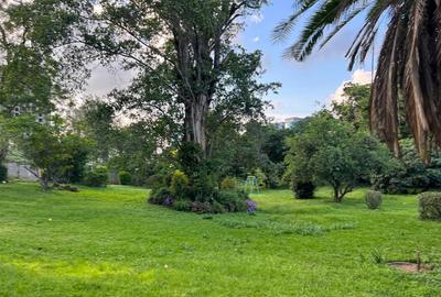 Commercial Land at 30 - 4