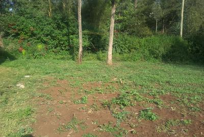 0.25 ac Land in Ngong - 2