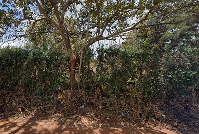 1 ac Land in Nyeri - 2