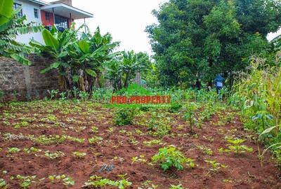 0.1 ha Residential Land at Thogoto - 4