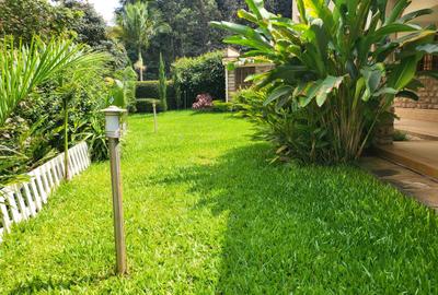 5 Bed Townhouse with En Suite in Rosslyn - 3