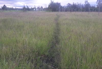 0.113 ac Residential Land in Ongata Rongai - 2