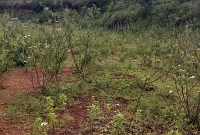 0.75 ac Land at Naivasha - Nakuru Rd - 2