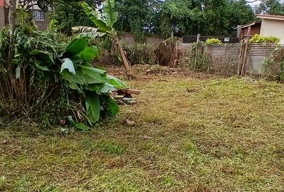 Land in Kinoo