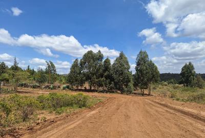0.125 ac Residential Land at Lusigetti - 2