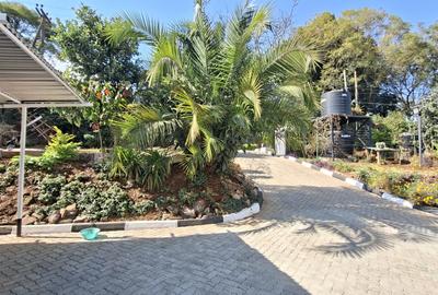 4 Bed House with En Suite in Loresho - 3
