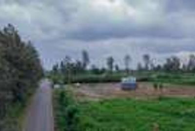 0.125 ac Residential Land in Juja - 3