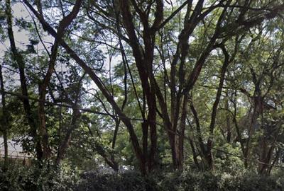 0.75 ac Land at Riara Road - 2