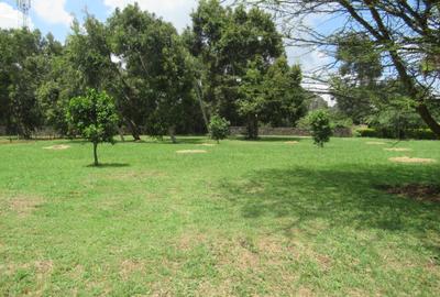 Residential Land at Off Dagoretti Rd - 2
