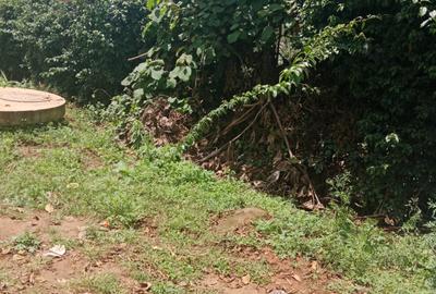 1 ac Land in Thindigua