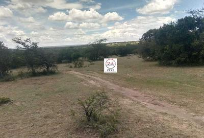 13 ac Land at Sekenani - 3