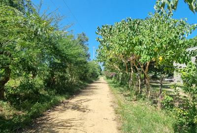 5 ac Land at Mtepeni - 3