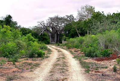 4,026 m² Land at Vipingo Kuruwitu - 2