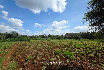 5.7 ac Land in Runda - 3