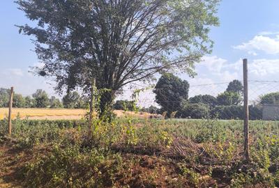 Land at Muhuri Road