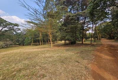 Land in Runda - 4