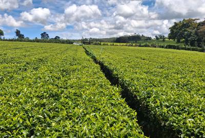 1 ac Residential Land at Limuru Girls High School