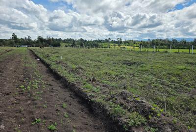 0.040 ha Residential Land in Nanyuki - 3