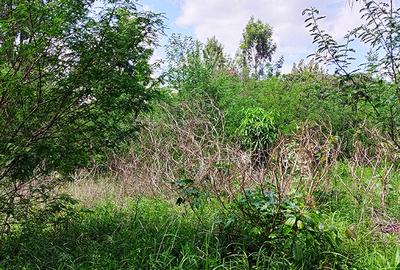 0.5 ac Residential Land in Thome - 2