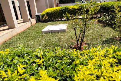 4 Bed Townhouse with En Suite in Lavington - 3