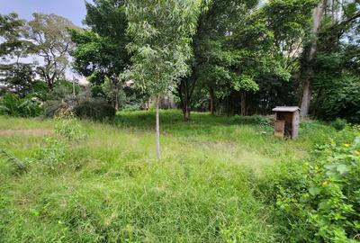 Land at 123 - 3