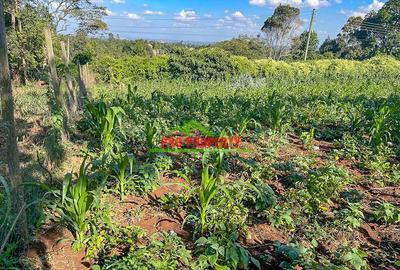 0.05 ha Commercial Land at Sigona - 4