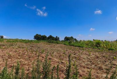 5 ac Land in Syokimau