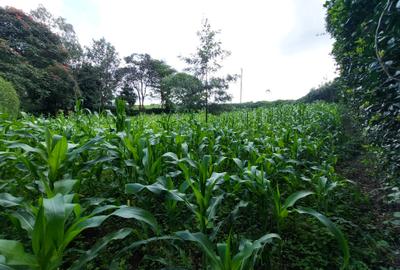 Land at Kirawa Road - 4