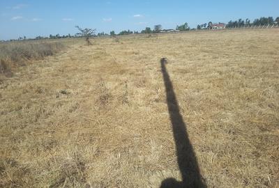 5 ac Land in Kiserian - 2